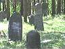 VILK105.jpg